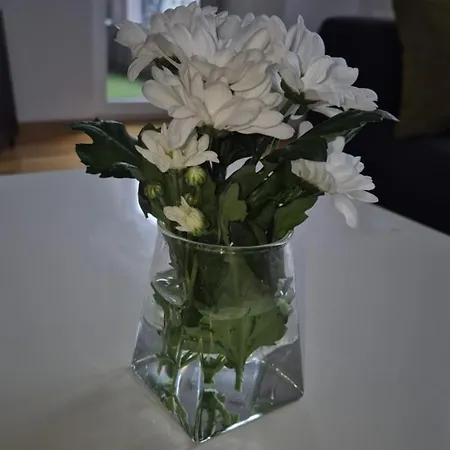 Maxilux Skopje
